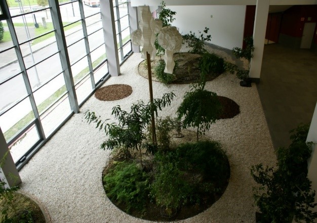 06 - Vista Interior del Campus.jpg