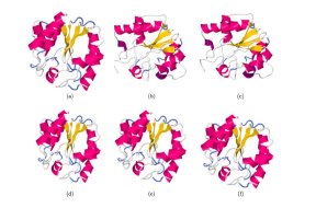Imagen Una investigación sobre la estructura espacial de las proteínas...