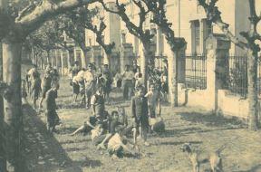 Imagen Las Colonias de la Universidad en Salinas cumplen 125 años