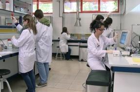 Imagen Asturias, novena provincia con mayor número de científicas de alto...