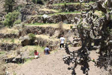 Excavaciones Perú 1 G