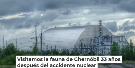 Portada Artículo Chernóbil G