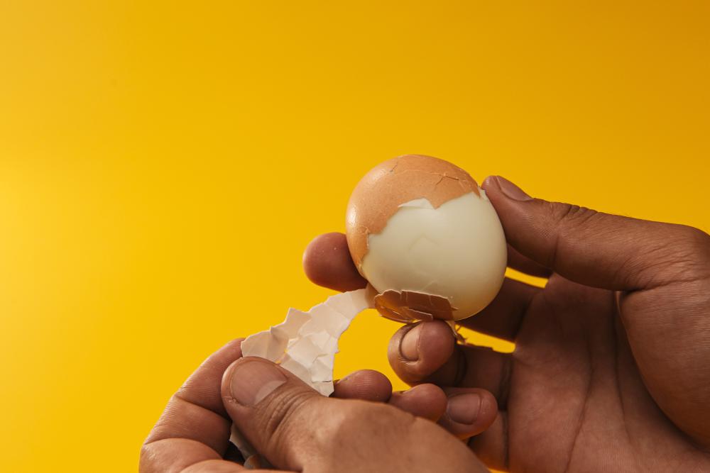Imagen Investigadores de la Universidad de Oviedo desvelan las propiedades de la membrana de huevo como material para la regeneración ósea 
