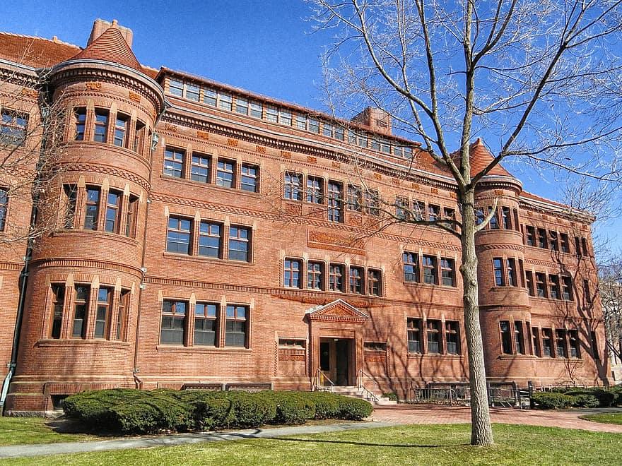 Imagen La incorporación de la Universidad de Oviedo al Real Colegio Complutense de Harvard da sus primeros frutos 